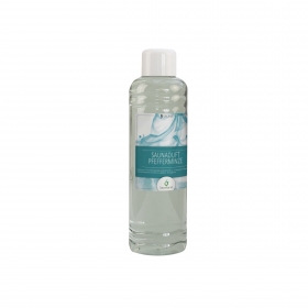 Aroma do parní sauny - Máta peprná, 1 l