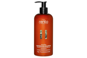Šampon Rento arktická borovice 400 ml