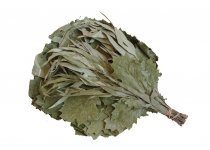 Saunová metlička, dub a eukalyptus